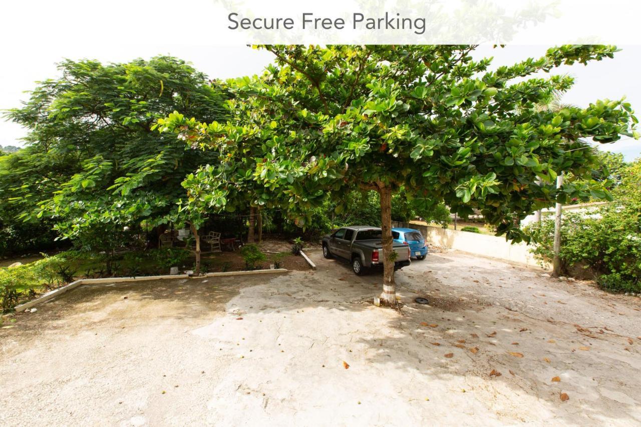 مونتيغو باي Calypso Villa Jamaica المظهر الخارجي الصورة
